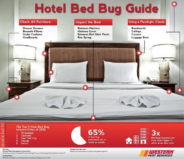 WPS-Infographic-Bed-Bugs1-640x554
